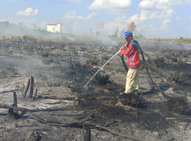 Tercatat 77 Kejadian Karhutla di Palangka Raya Tahun 2025